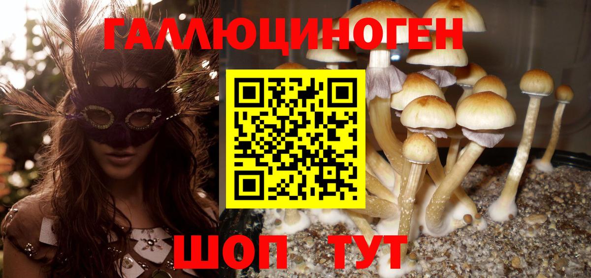 Псилоцибиновые грибы мухоморы  Вход с VPN  как найти закладки  Галлюциногенные грибы GOLDEN TEACHER  Тольятти 